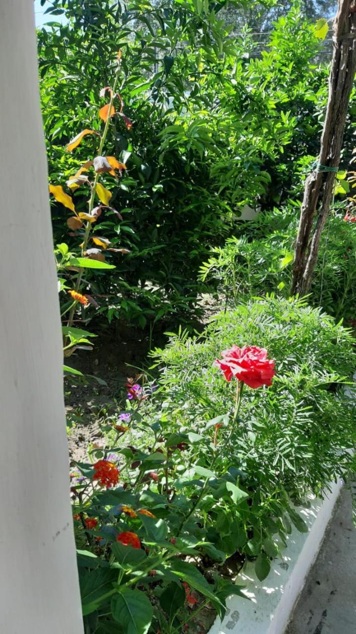 Guest House Emi Berat Buitenkant foto