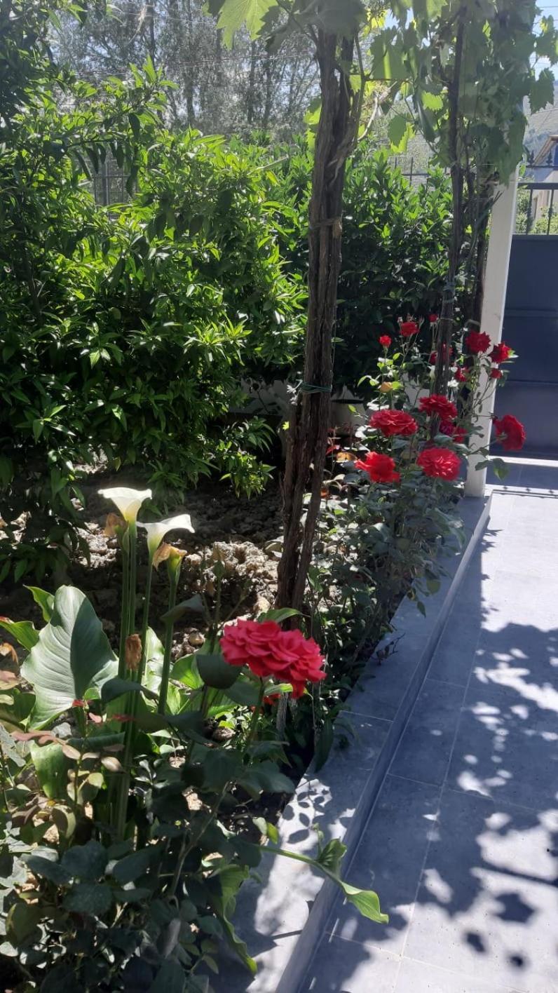 Guest House Emi Berat Buitenkant foto